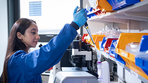 Research student working in the lab