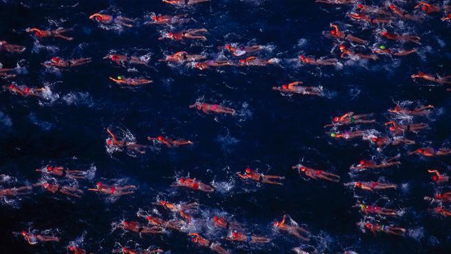 an overhead view of people swimming during a triathlon