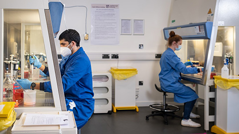 Scientists working in a lab