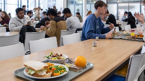 A cafeteria setting with a long wooden table and trays of food. The nearest tray includes a large sandwich on white bread, mixed vegetables, a colorful salad with dressing, a whole orange, and a wrapped brownie. Other trays with meals and drinks are visible on surrounding tables, and groups of people are seated and eating in the background.
