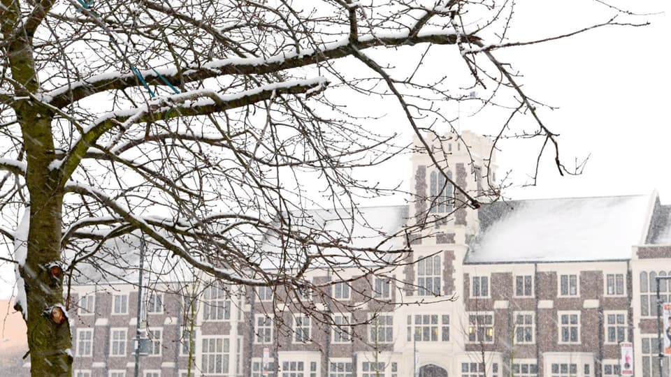 Snow-covered tree branches in the foreground with Hazelrigg Building at Loughborough University in the background, partially obscured by falling snow.