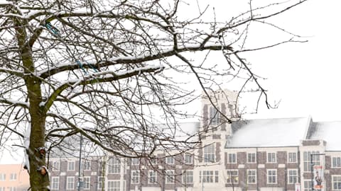 Snow-covered tree branches in the foreground with Hazelrigg Building at Loughborough University in the background, partially obscured by falling snow.