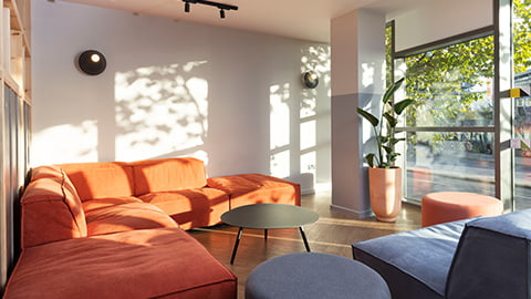 A cosy and sunlight filled room with bright pastel orange sofa and grey sofa seating area. The room is framed around a central coffee table for students to sit and talk around, the room is filled with plants and looks out onto a large window with views of London city.