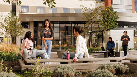 A group of students sit on wooden benches inside Loughborough London student accommodation Stratford One's garden courtyard outside the accommodation. The students are laughing and talking together surrounded by a range of plants and shrubbery.