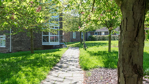 Trees frame the walk toward Faraday student halls of residence on Loughborough University's picturesque campus