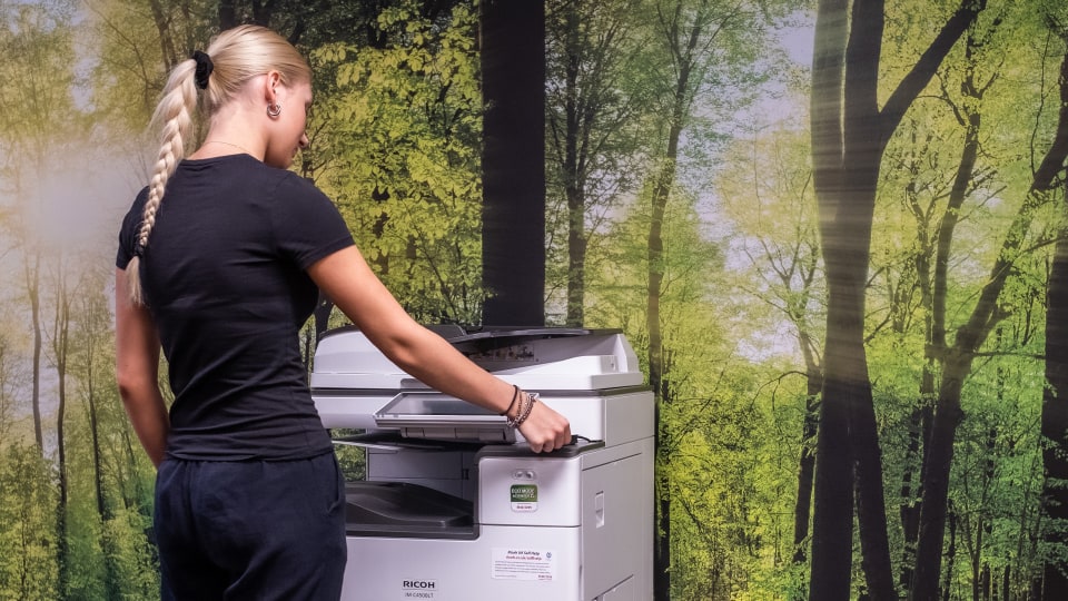 Person using printer against a woodland poster backdrop