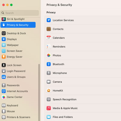 Once the system menu has opened, you then need to select the privacy and security menu
