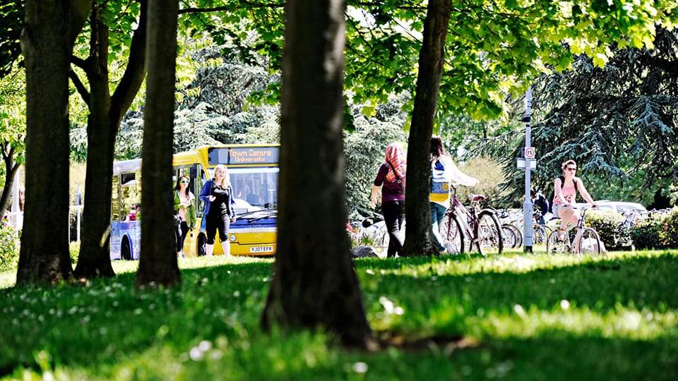 Photo of bus and bicycles through trees