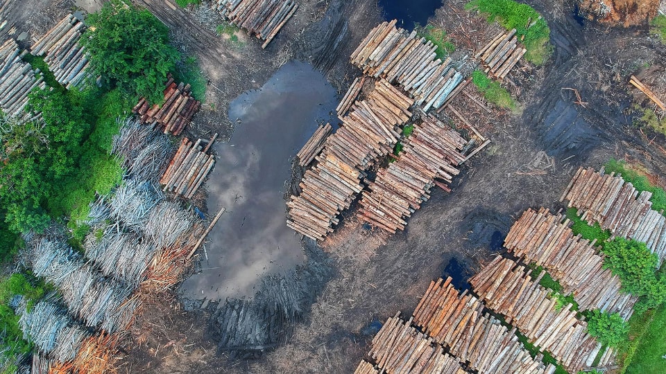 Logging aerial photo