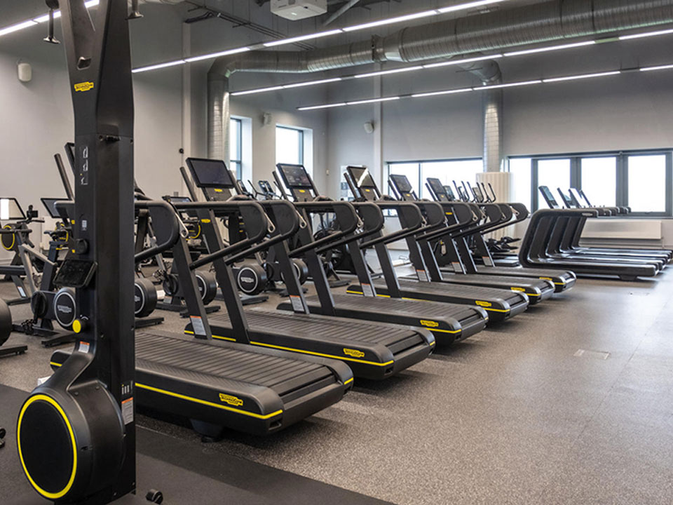 Treadmills are lined up with spin bikes and ski ergs in a cardio dedicated area.