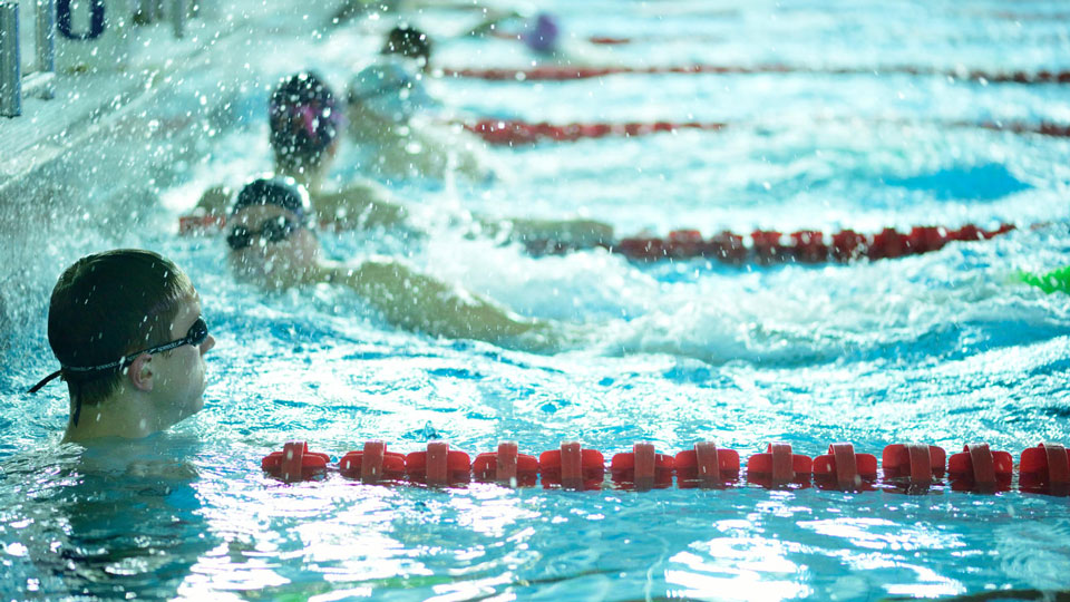 Adult swimming lessons