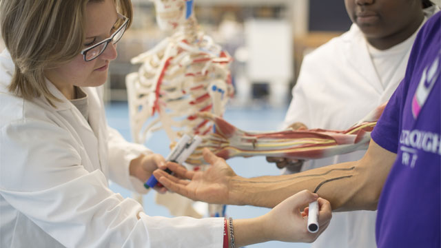 Research being conducted in a sports science laboratory