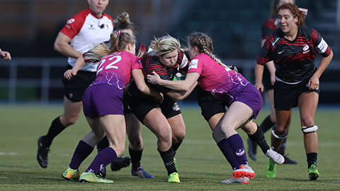 rugby players on the pitch