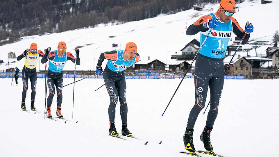 a group of cross country skiers skiing in a line
