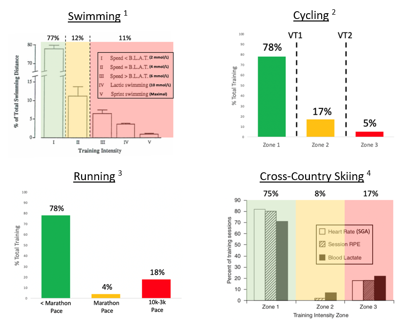 What Are Swimming Training Zones?