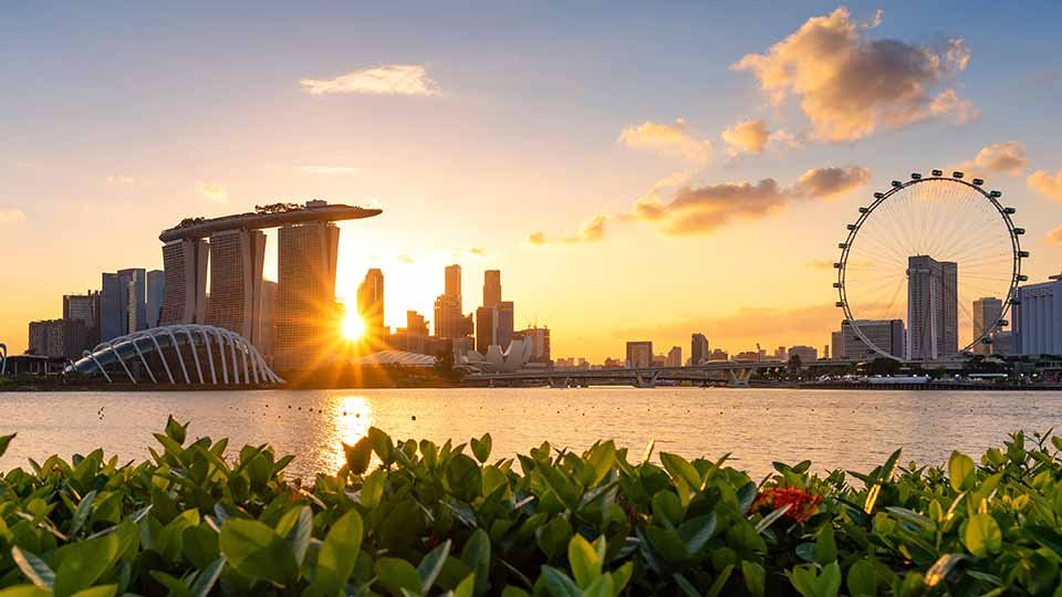 Sunset view of Singapore bay with vegetation in the foreground and the sun peeking through the varied modern architectural skyline. Free image licensed from Adobe Stock.