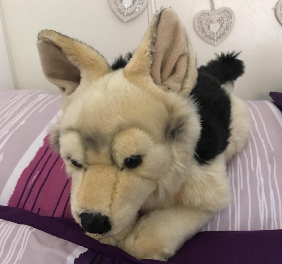 A soft toy dog that Emma brought to university. 