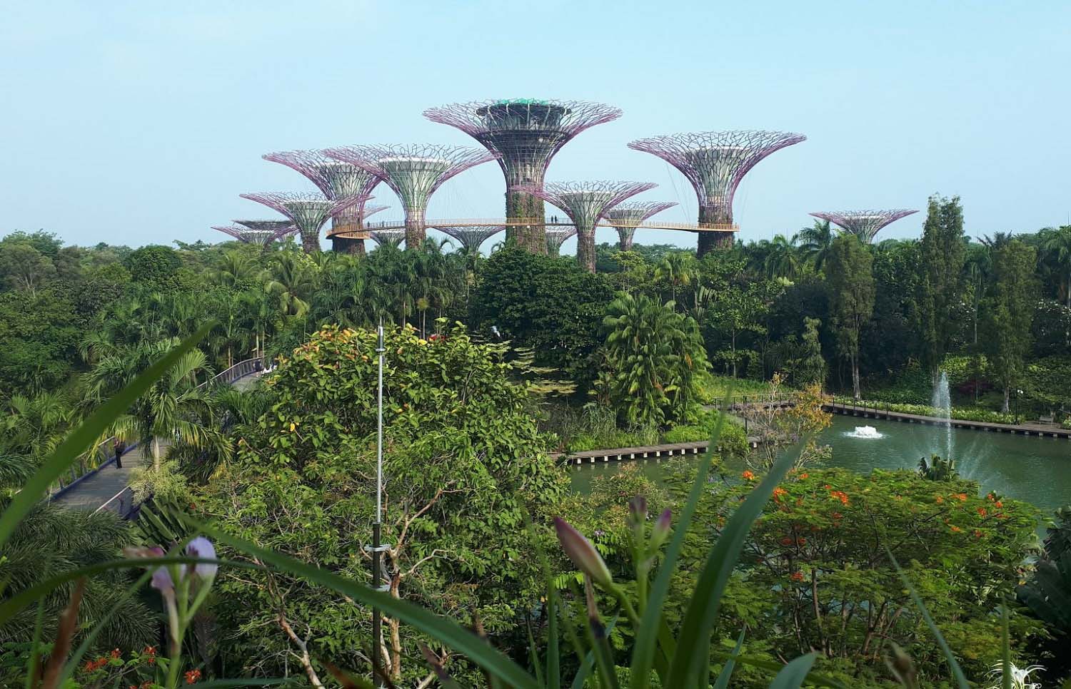 Garden in Singapore. 