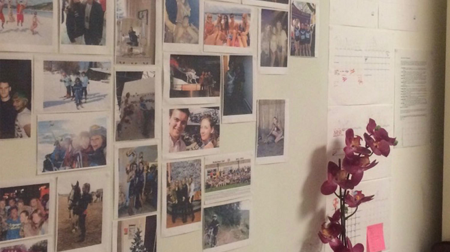 Imogen's wall in her university room which has photos of her with friends on it. 