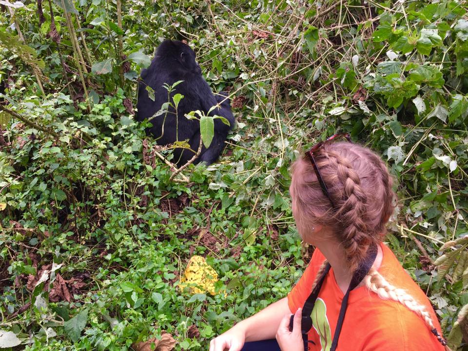 Jess and a gorilla in the wild. 