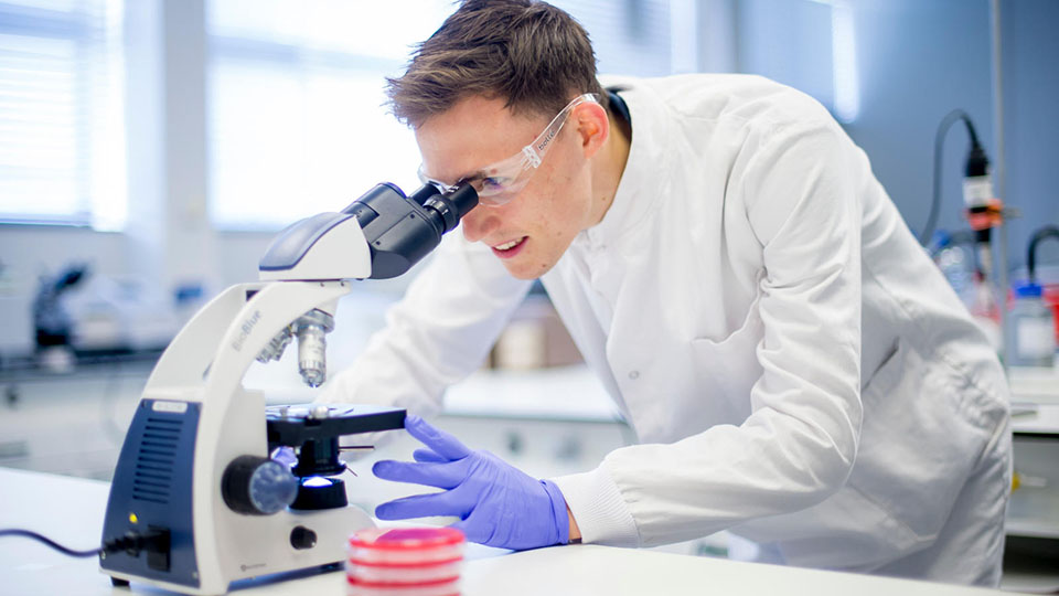 A student using a microscope and looking into it