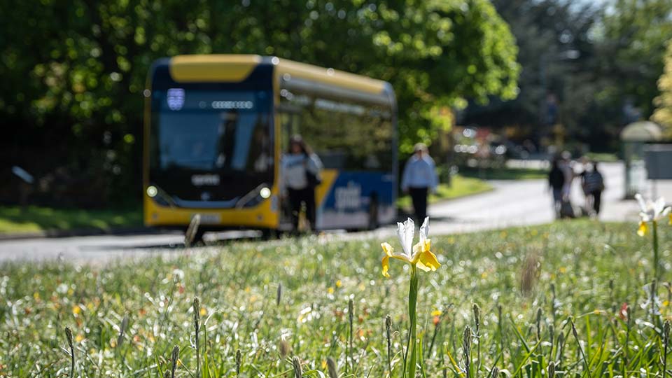 Students getting on the campus shuttle bus on a sunny day