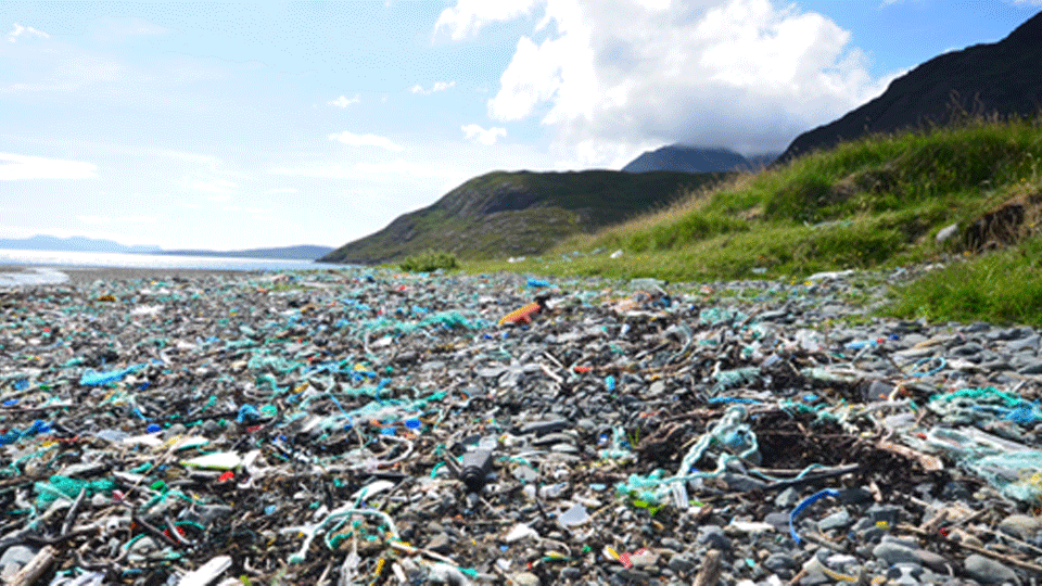 litter on a beach on the isle of skye