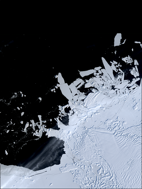 Landsat 8 image showing the heavily crevassed front of Thwaites Glacier, West Antarctica, and icebergs and sea ice offshore. ©NASA/USGS, processed by Dr Frazer Christie, Scott Polar Research Institute, University of Cambridge.