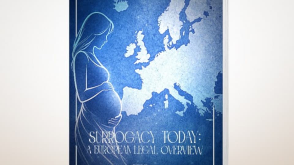 Stylised image of a pregnant person and title from the cover of the book 