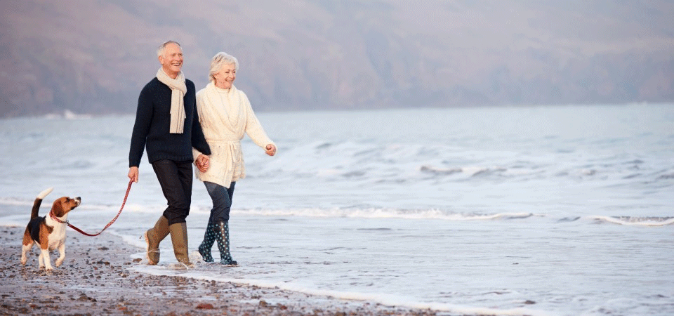 A couple walking their dog on a beach