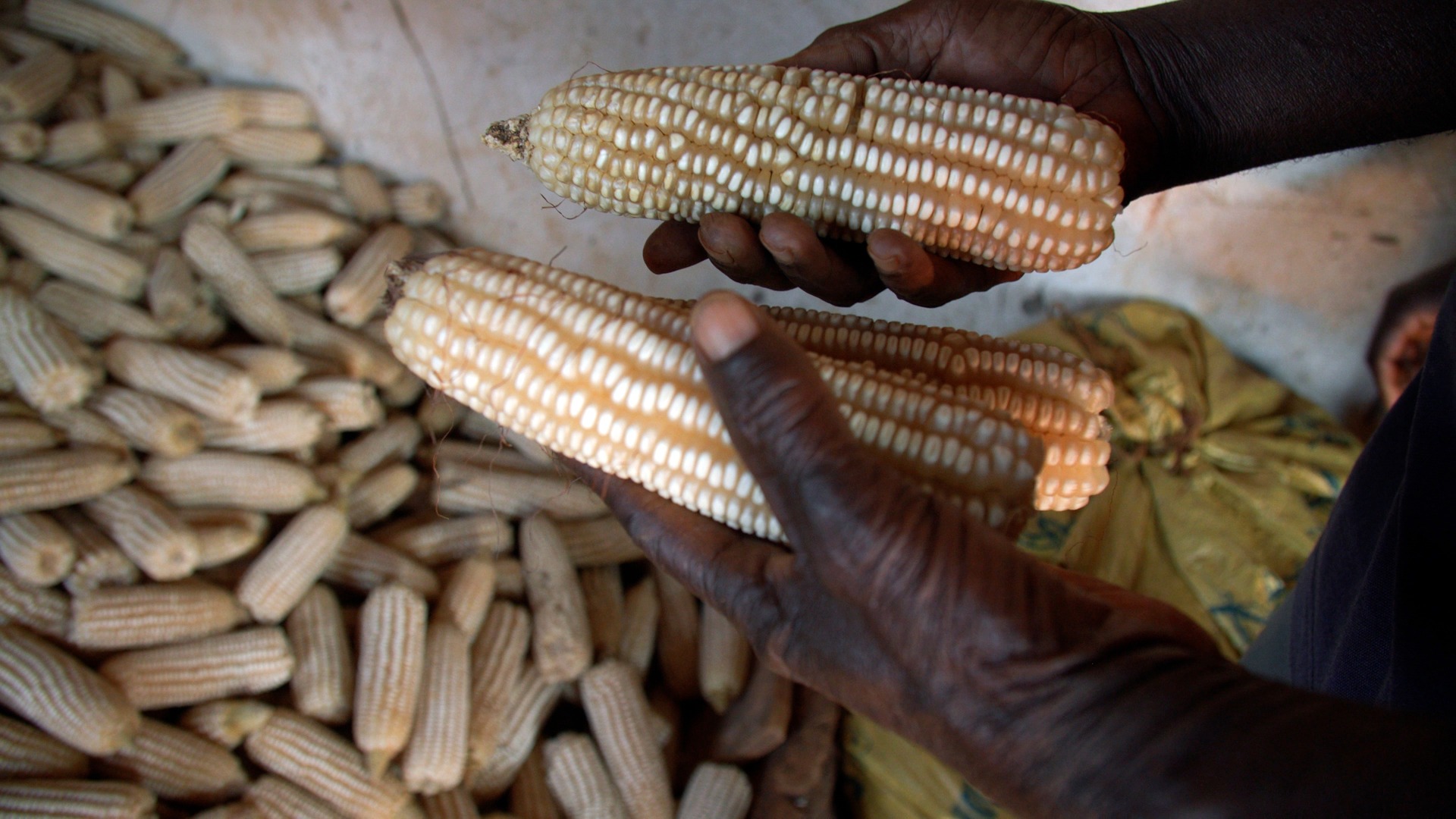 85% of households in Malawi depend on subsistence farming