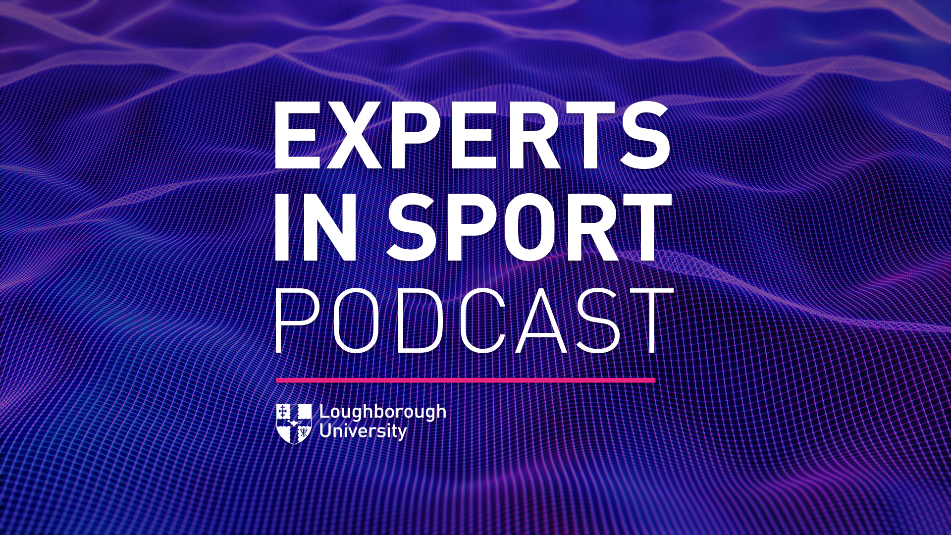 Experts in Sport: Metaverse topic