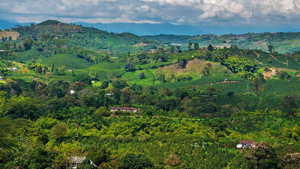 Pictured is a landscape in Colombia. 