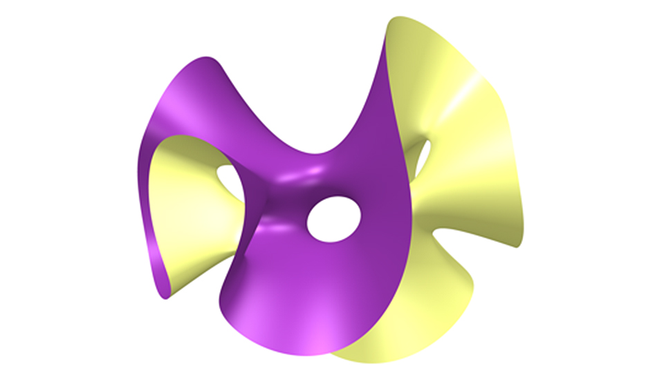 An example of a Fano surface in 3D space. Image courtesy of Dr Artie Prendergast-Smith.