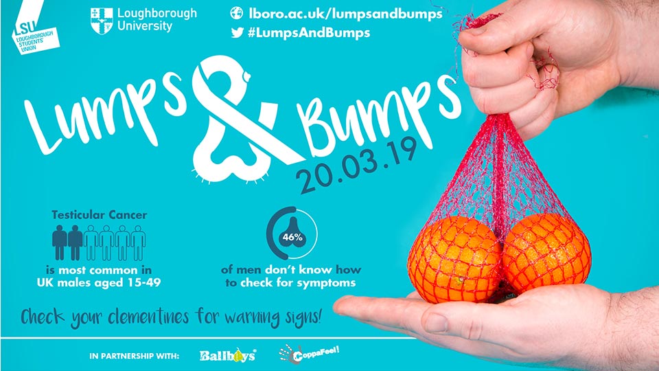 Pictured is the lumps and bumps logo and a sack of oranges. 