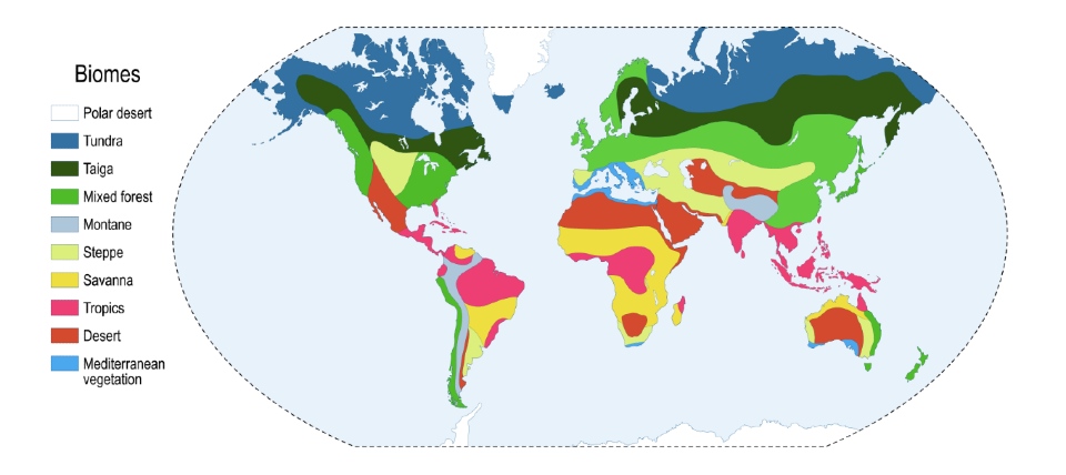 Graphic showing different biomes. 