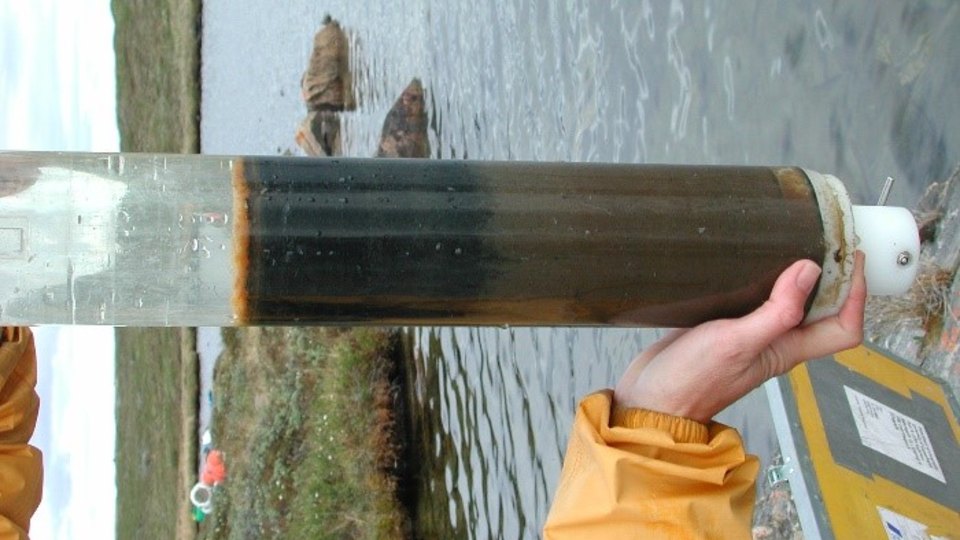 Sediment sample taken from a lake. 