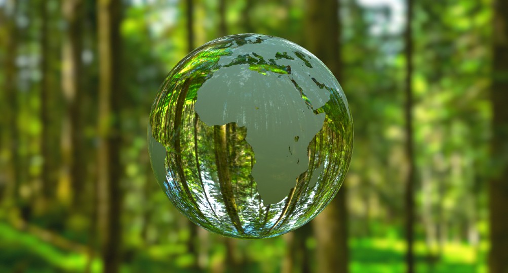 A glass globe showing Africa against a forest back drop 