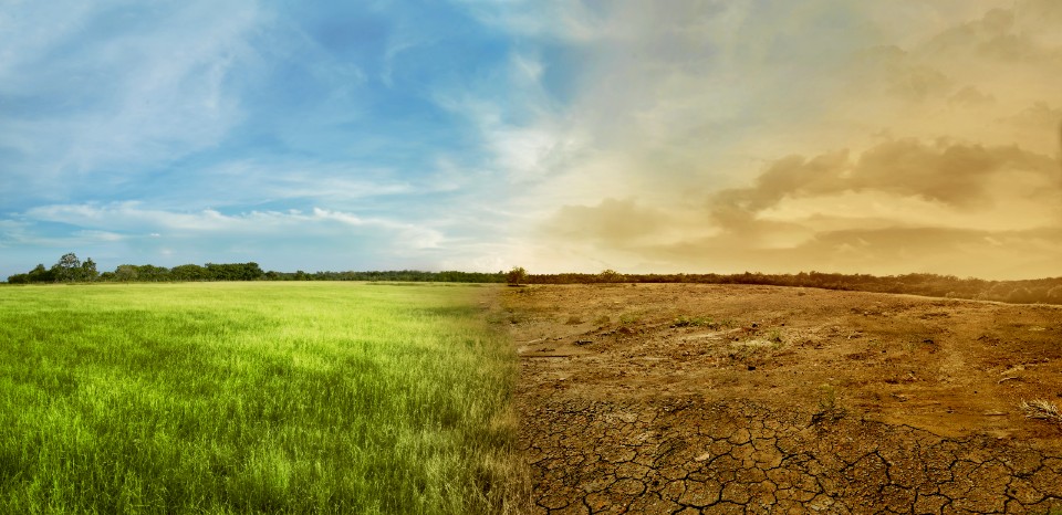 A field showing before and after climate change, on the left it is green and luscious, on the right it is dry and cracked. 