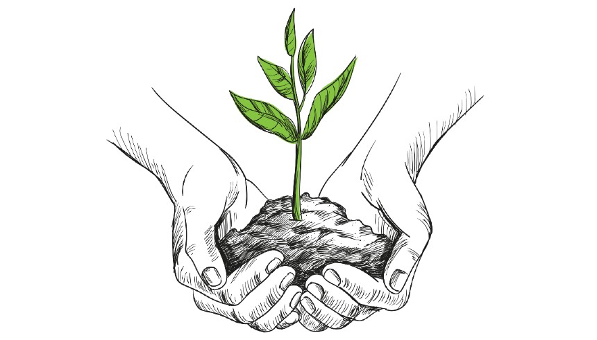 Sketch of hands holding a plant 