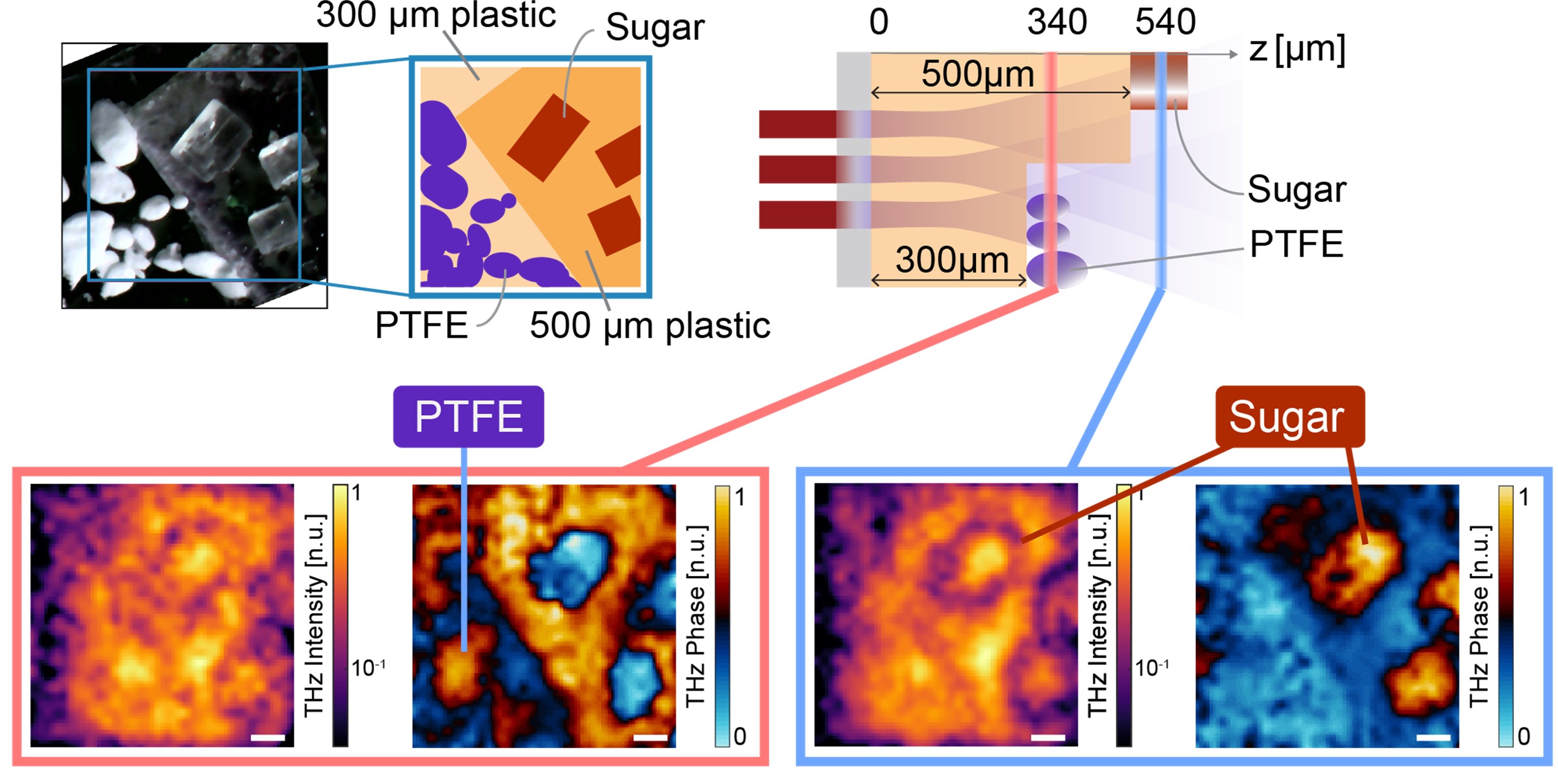 Top, from left to right: photographic image of the cube with objects embedded in it; a graphical sketch showing at which depth the objects - made of plastic, sugar and PTFE (a synthetic polymer) - are located (300-500 micrometres (μm)) are embedded; a 3D graphical sketch showing terrahetz waves passing through the cube. Bottom: Real images captured by the terahertz wave camera. 