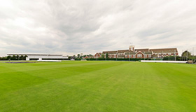 Cricket pitch