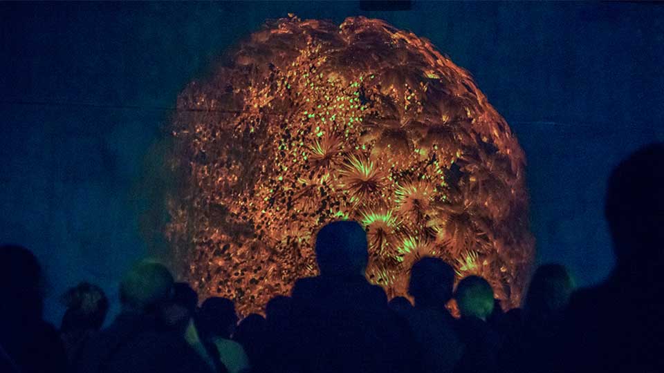 Silhouetted crowd watching a large glowing sphere with intricate, flower-like patterns in warm orange and green light against a dark background.