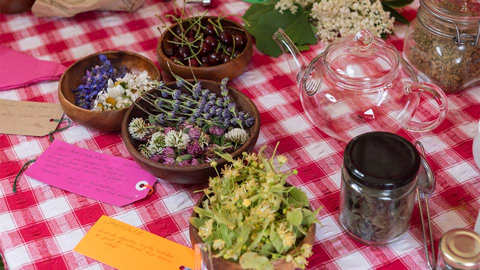 photo of various flowers and plants on a table at a previous Fruit Routes event