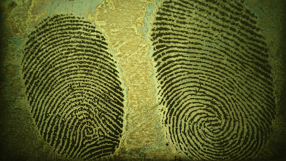 photo of fingerprints 