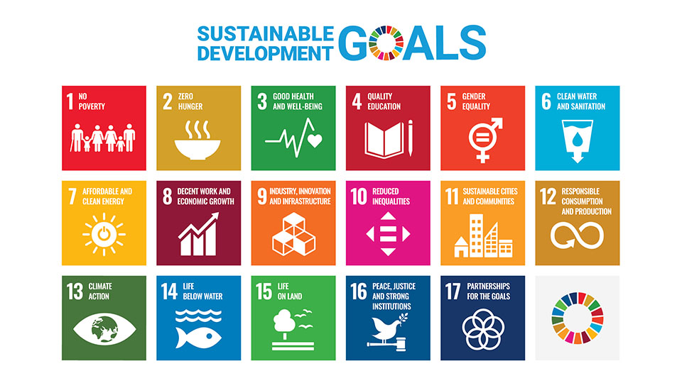 A graphic illustrating and briefing describing the 17 SDGs in boxes with the official logo at the top