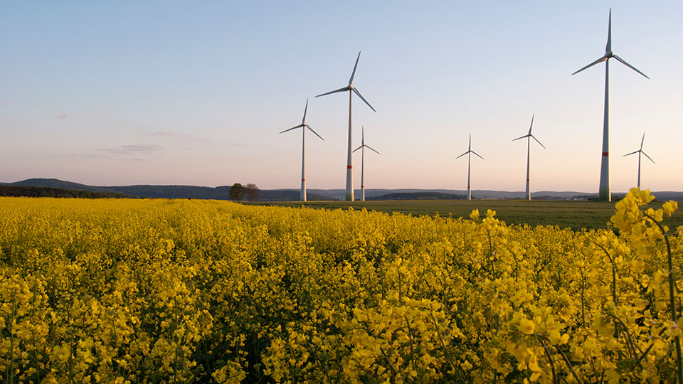Photo of wind turbines in fields at sunset