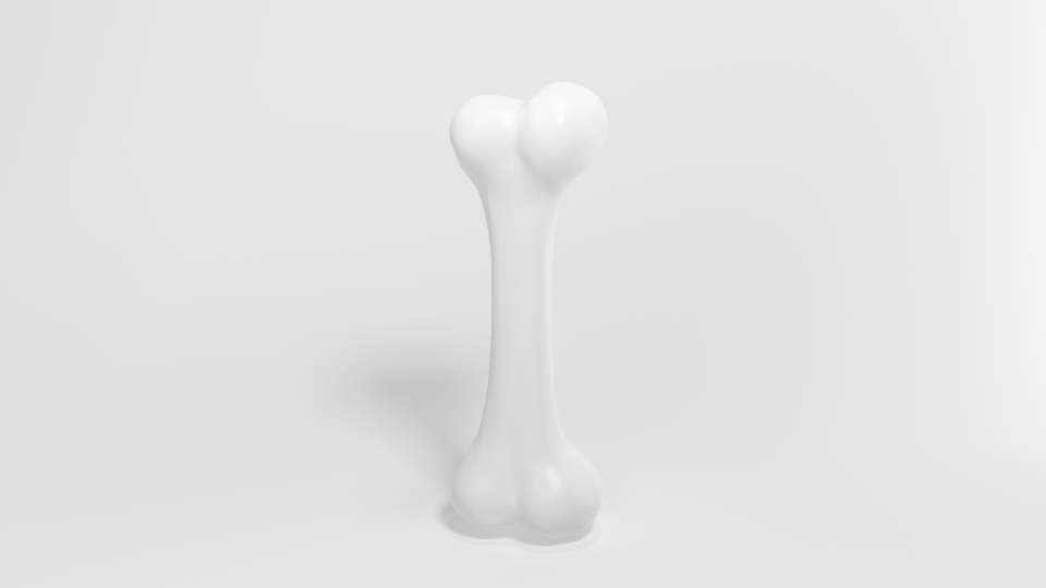 3D image of a bone
