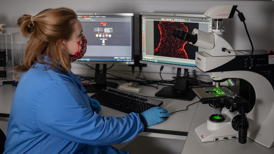 a woman working in a lab