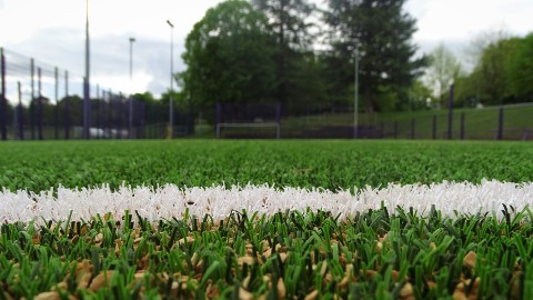 the new sis pitch on campus